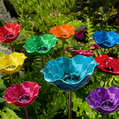 🐦 Mini Bird Bath & Pollinator Water Station - 49% OFF- ✨ Attract Birds & Beneficial Insects
